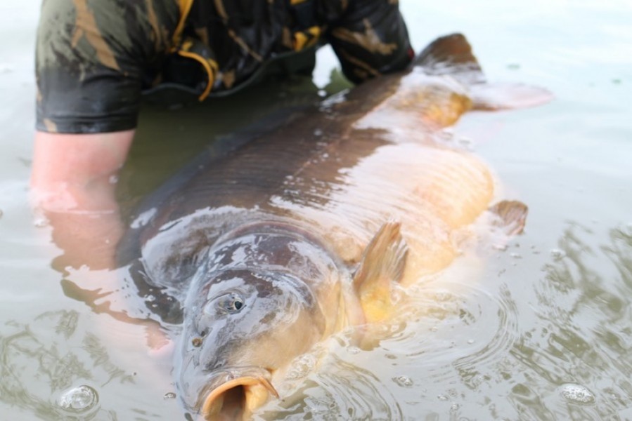 What a Chunk, returning The Target after its first capture in over two years