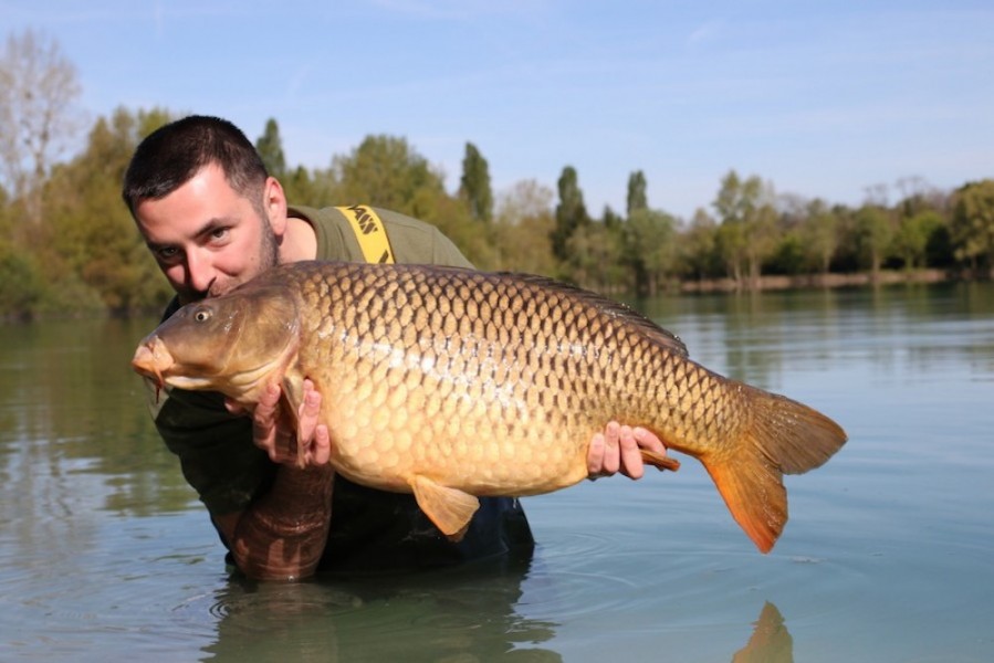 Radu Mitrea returning a cracking 33lb 8oz Common caught from Alcatraz