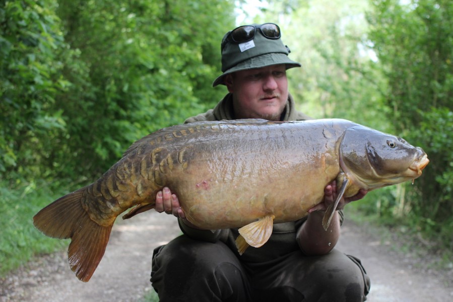 Steve Bartlett, 31lb, Treeline, 20.05.17