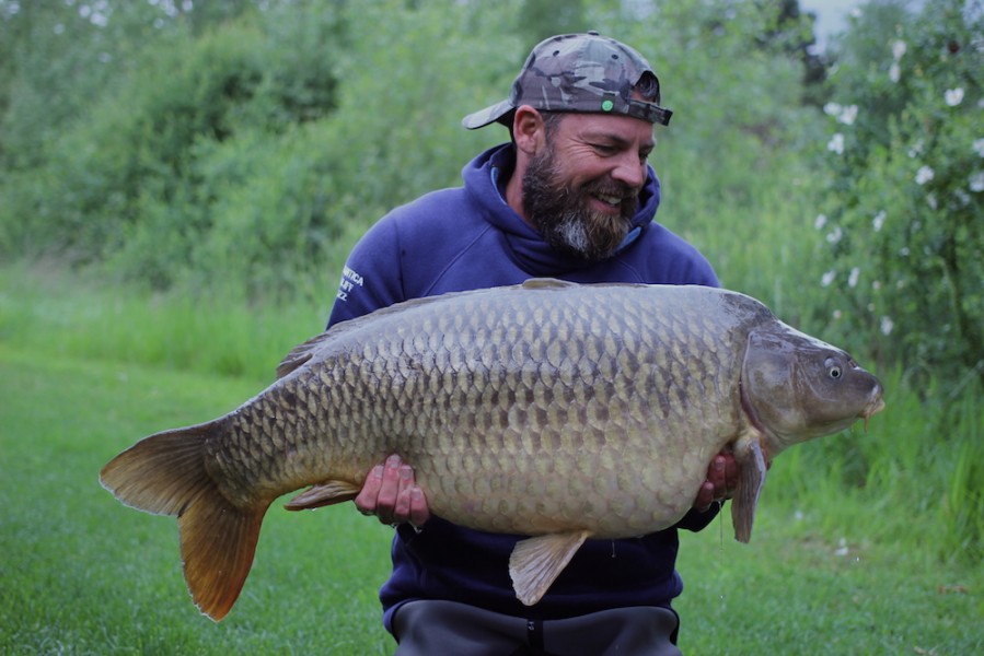 Dave's Common at 38lb from Alcatraz 13.5.17