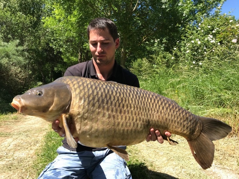 Alex Chat, 37lb, Stink, 20.5.17