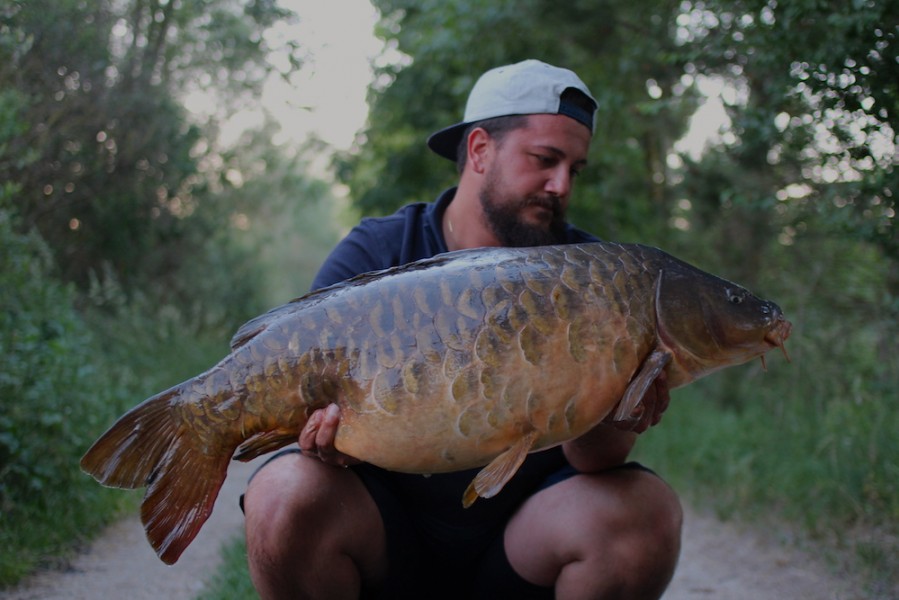 Alen Gavranovic, 38lb 8oz, Big Girls, 27.05.17