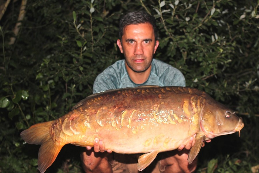 Dave Westwood, 31lb 8oz, Pole Position, 17.06.17