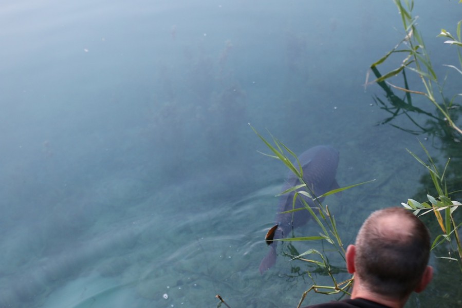 Darren Walker releasing Lennie's back to the depths.