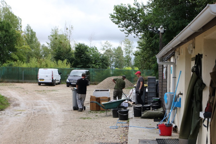 mass tidy up