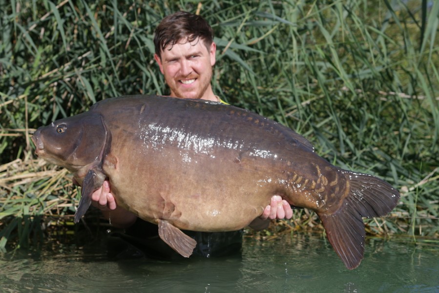 Ad "Lego" Meakes, 50lb 12oz, Baxter's 19/08/17