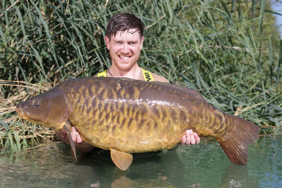 Ad "Lego" Meakes, 47lb, Baxter's 19/08/17