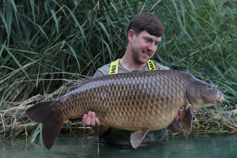Ad "Lego" Meakes, 36lb, Baxter's 19/08/17