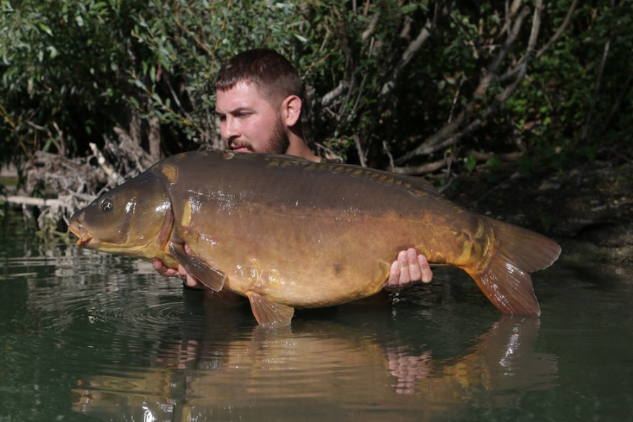 Sam Jones, 36lb, Co's Point, 19/08/17