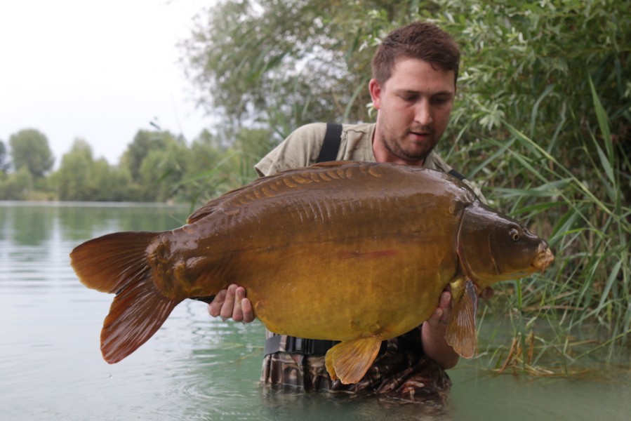 Steve Mead, 42lb, Treeline, 19/08/17
