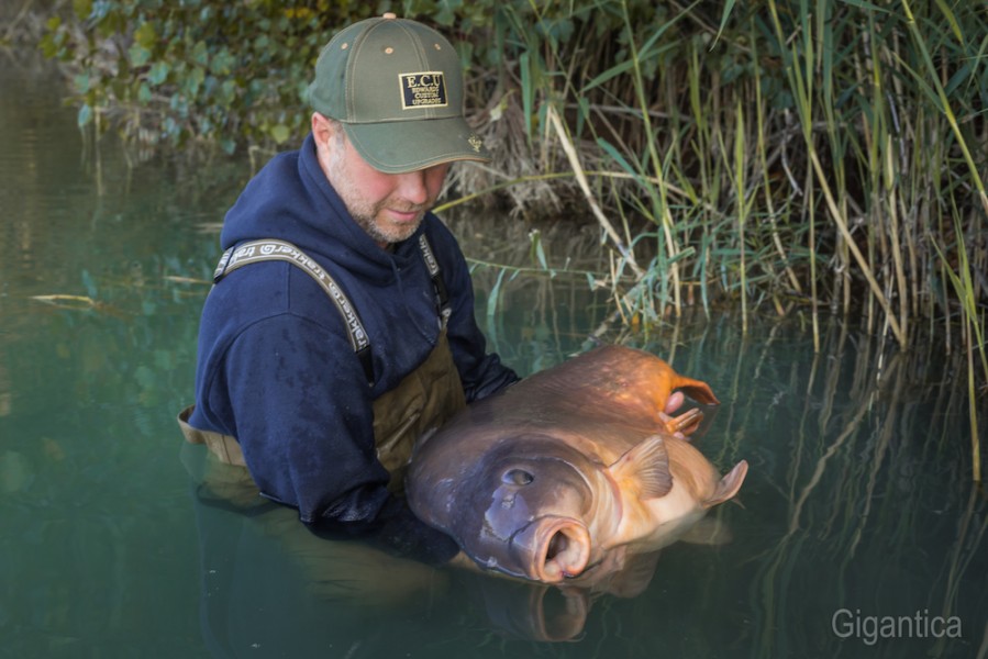 Roberts fish what a cracking carp at 67lb from Alamo