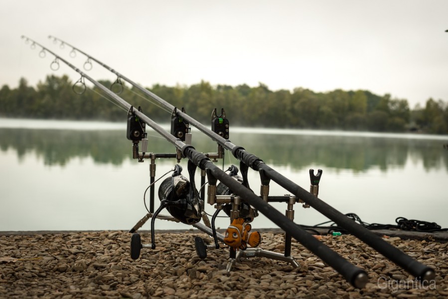 Nice and neat set up.
