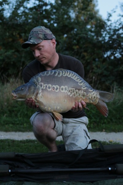 Imagine this fish at 40, 50 or even 60lb. It will be a 30lb'er for sure next year and it will only be five years old.