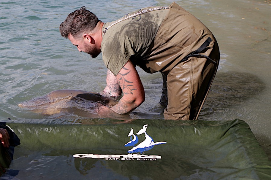 Returning Spotty back to the crystal Gigantica waters