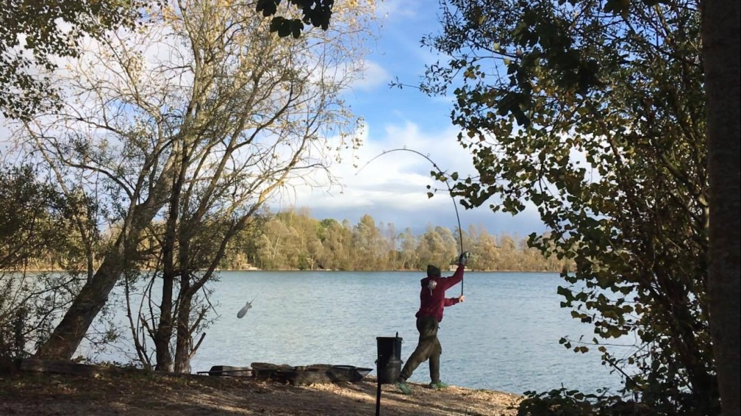 Benjamin Spaniel Spoding out in Co's Point at 31 wraps