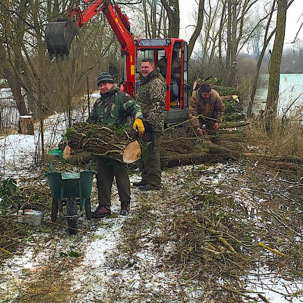 Clearing dead trees from Turtle's tree line. Justin Dabrowski dropping off a big log!