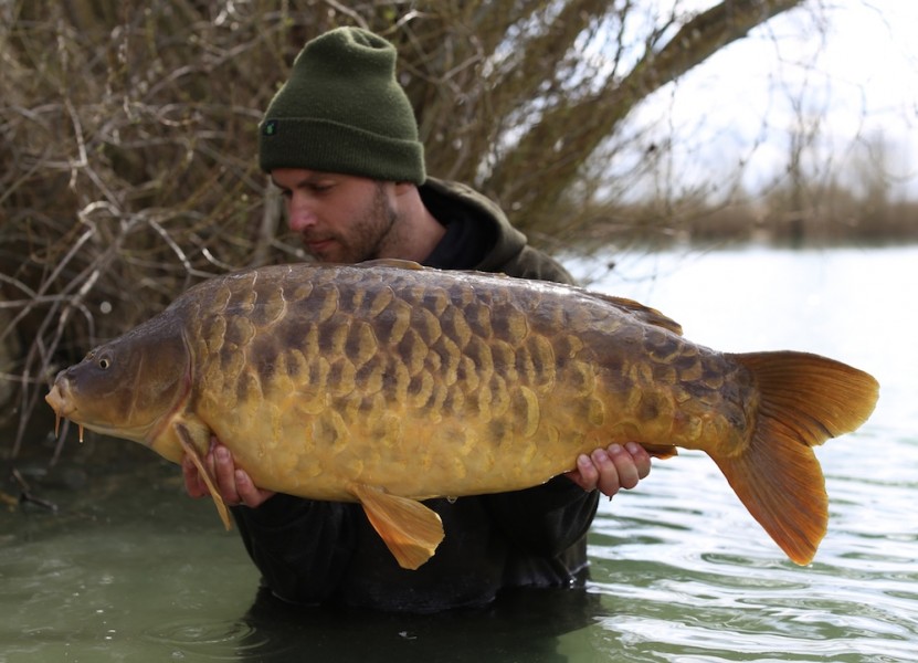 Joe Atkinson, 29lb 8oz, Oblivion, 24.3.18