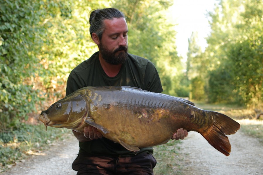 Rob Dungate, 36lb 12oz, Bob's Beach, 4.8.18