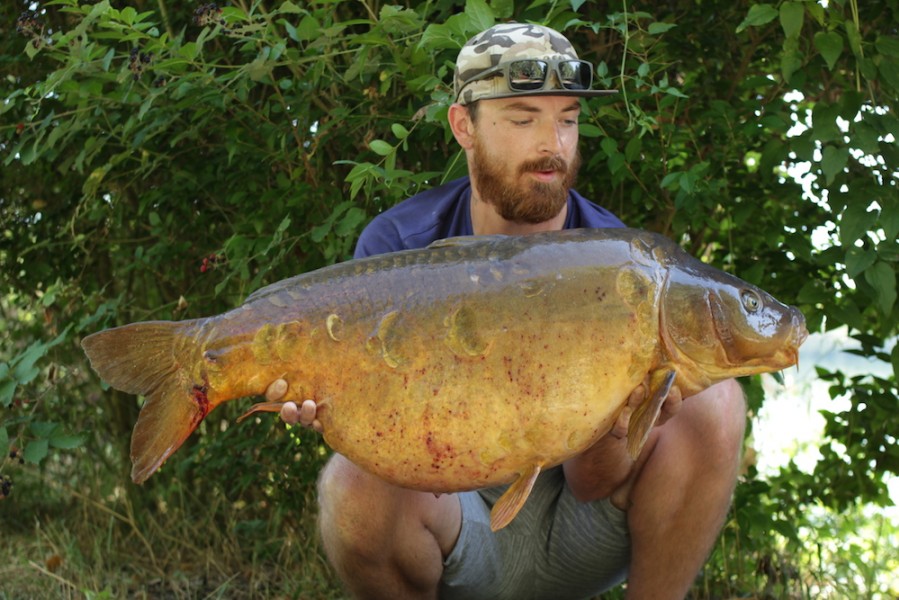 Deacon Olley, 48lb, Bobs Beach, 11.8.18