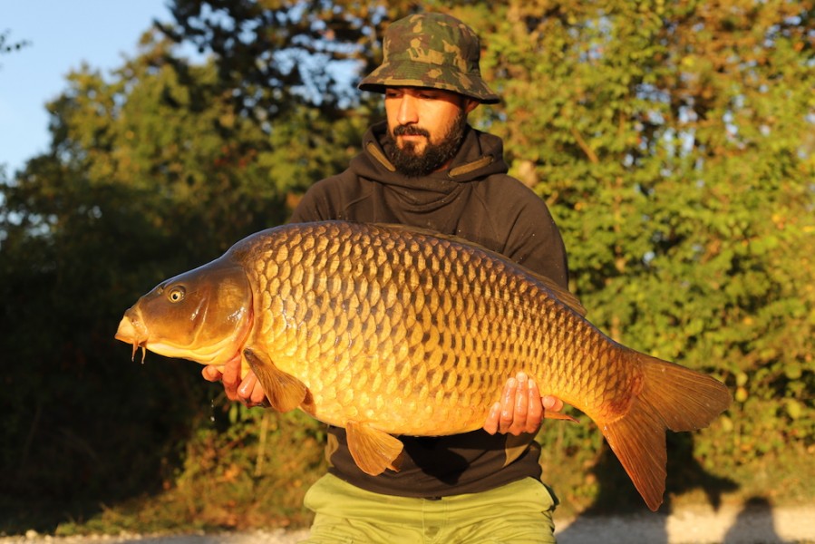 Nasir Sheikh, 37lb, Baxters Hole, 8.9.18