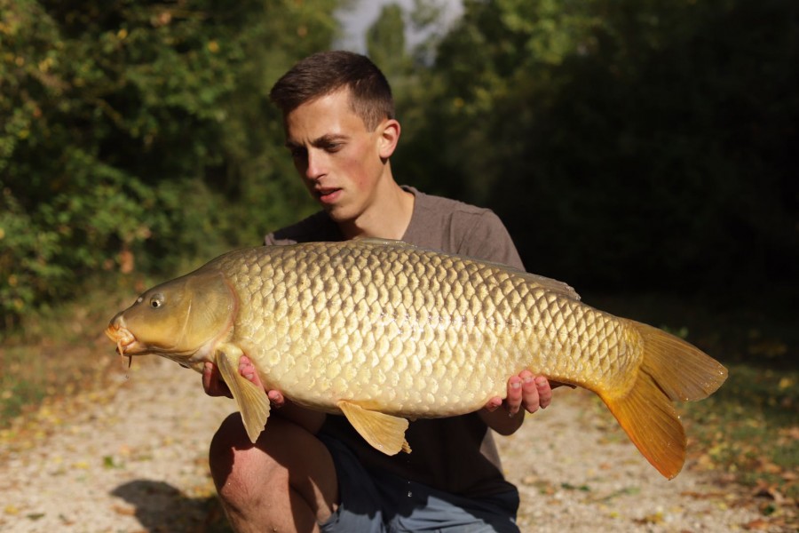 A long, clean 24lb Stockie