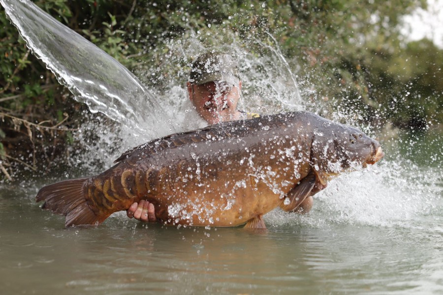 Treat yourself to a Gigantica bucket Dave!