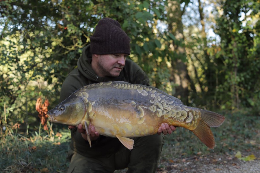 Dave Bendall, 24lb, Treeline, 22.9.18