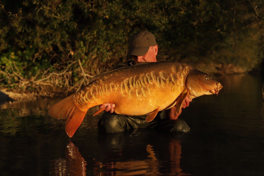 Carl Hoyle, 45lb 8oz, Oblivion, 22.9.18