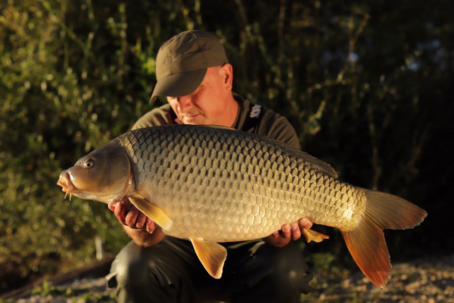 Squeaky Clean 22lb Common