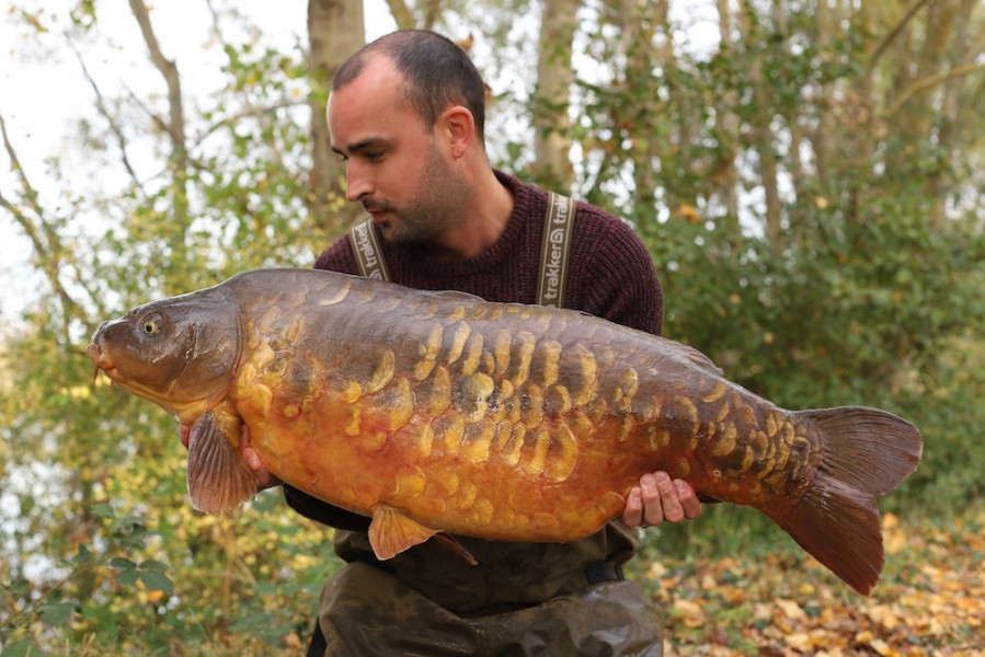 Phillip Loach, 37lb 8oz, The Alamo, 13.10.18