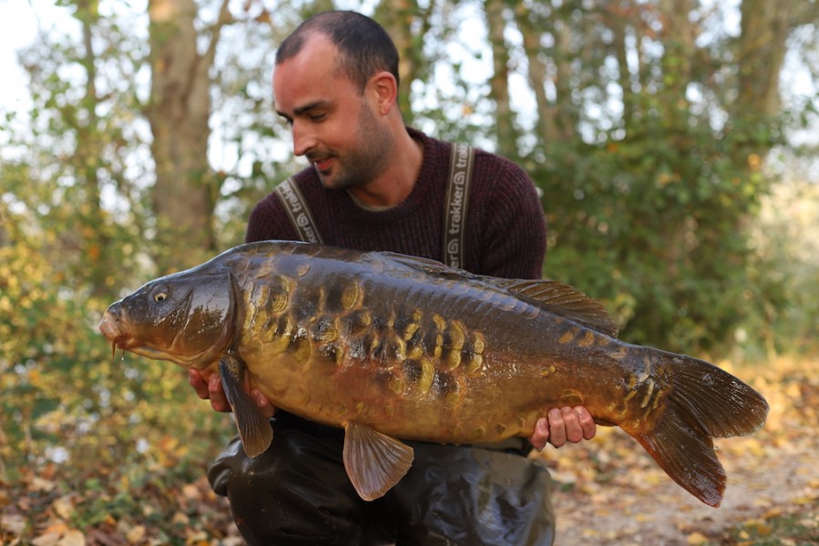 Phillip Loach, 27lb 8oz, The Alamo, 13.10.18