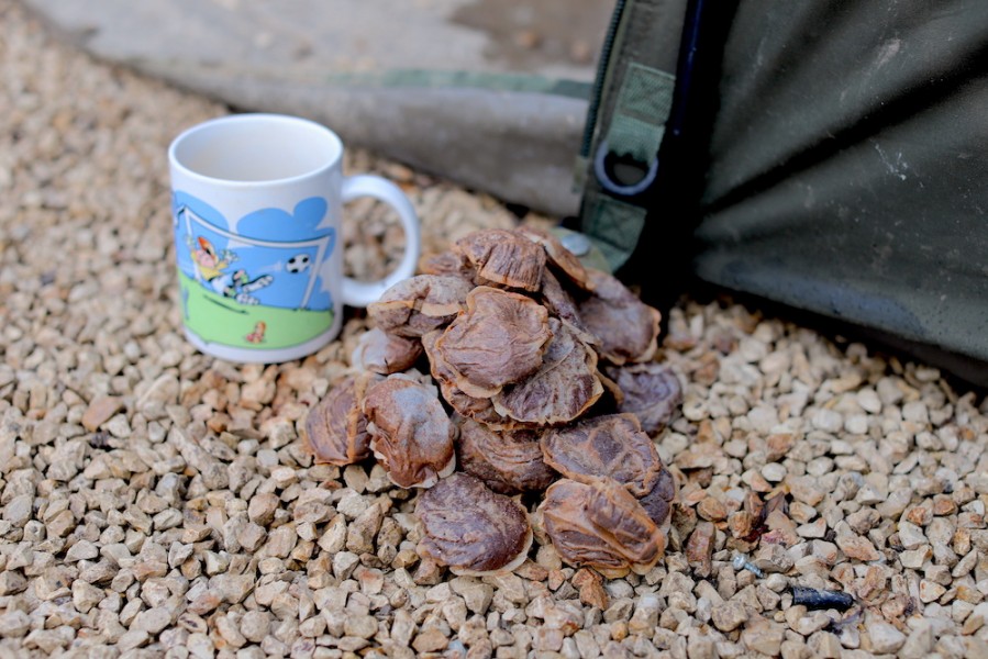 Steve hard at work on his "Carpy" tea bag pile!