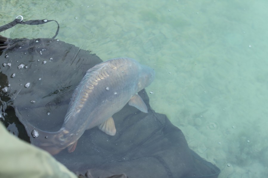 Captor returns back to the icy depths