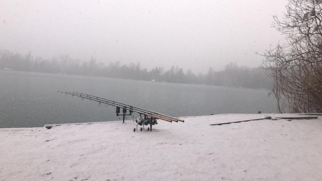 It's white, but they're still biting.