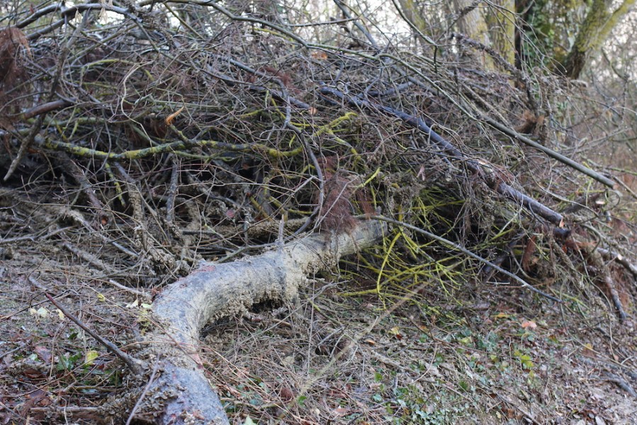 Just some of the snags removed from the Tree line