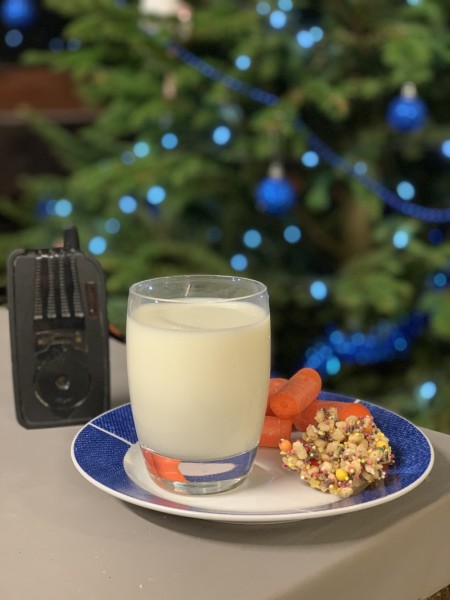 Waiting for Santa to come.