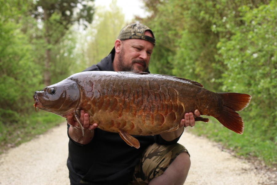 Darren Walter, 31lb 12oz, Bobs Beach, 20/04/19