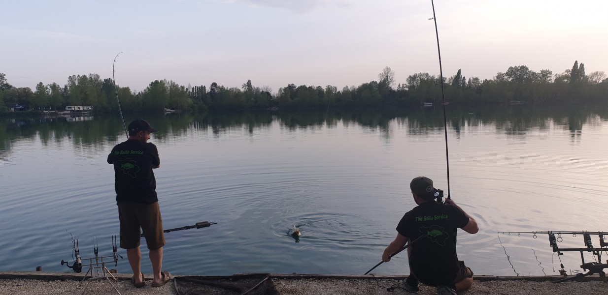 Carpy carnage!!