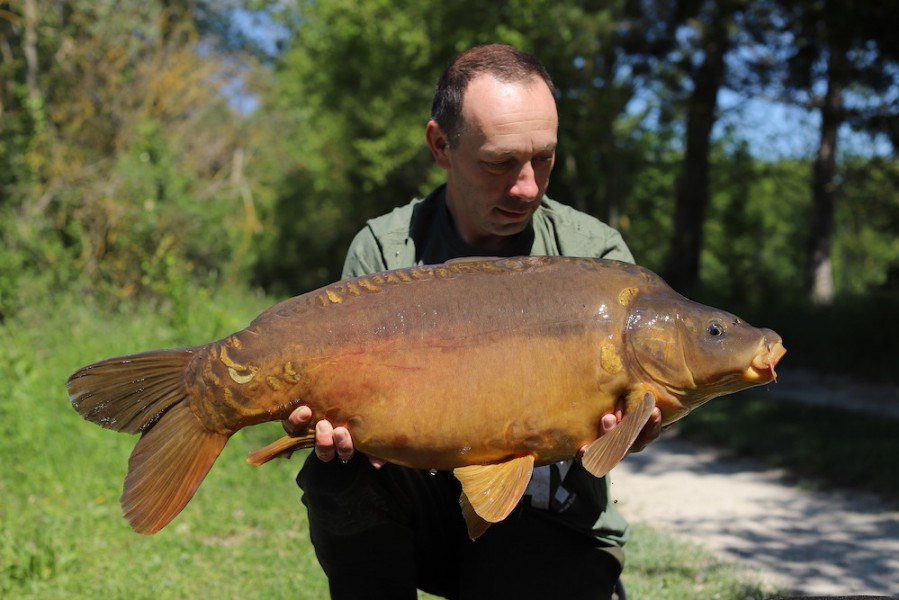 Richard "Wiz" Paine, 31lb, Big Girls, 11.5.19