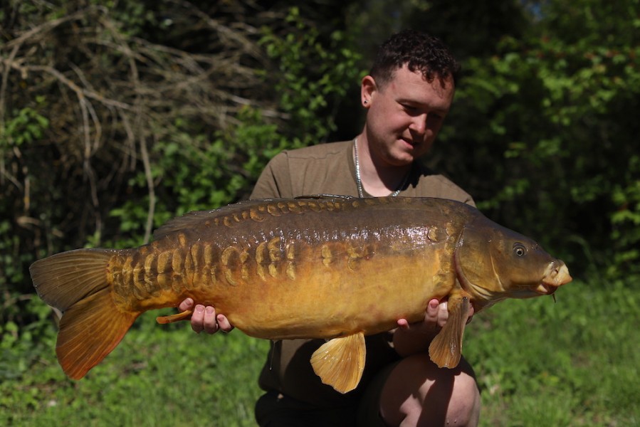 Joel Judd, 36lb 8oz, Co's Point, 11.5.19