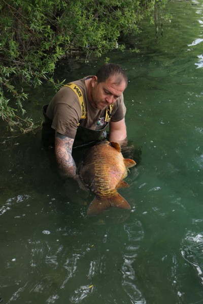 Scaley bangers everywhere!!