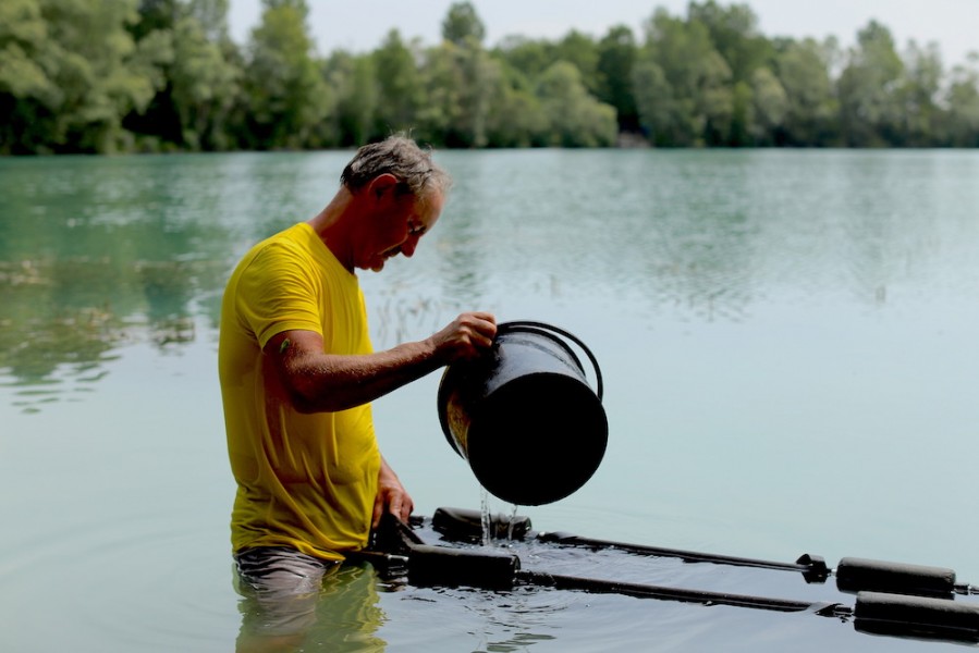 Give the fish an oxygen bath before returning to the water in the scorching conditions.