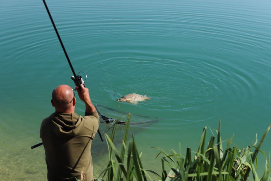 Go on son....get in my net!