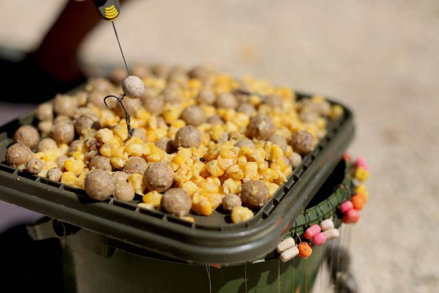 Maize feature in most successful bait mixes..
