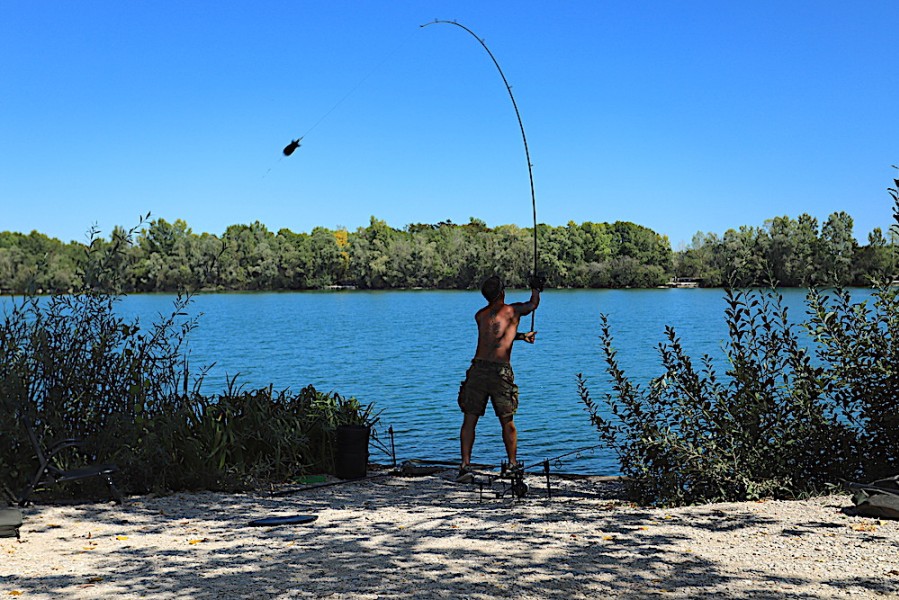 The Spomb definitely rules at Gigantica. Leave the throwing stick at home.