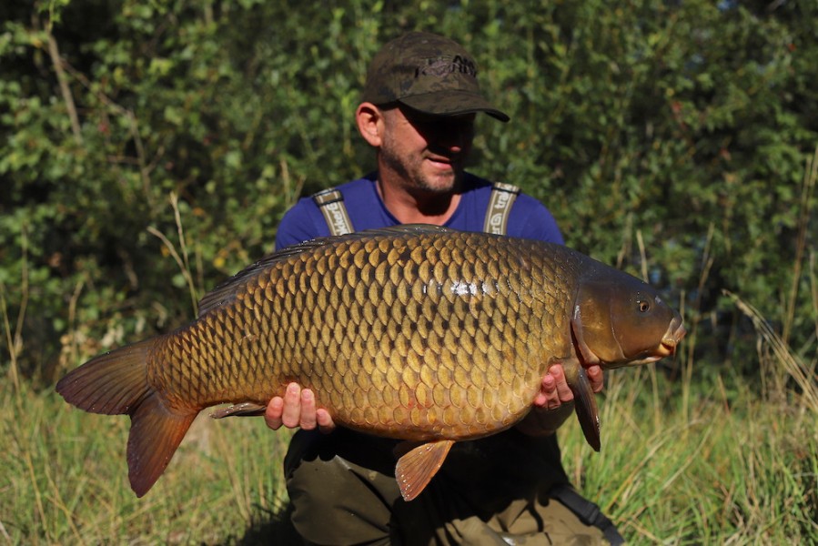 British Badger, 31lb, Alcatraz, 31/08/19