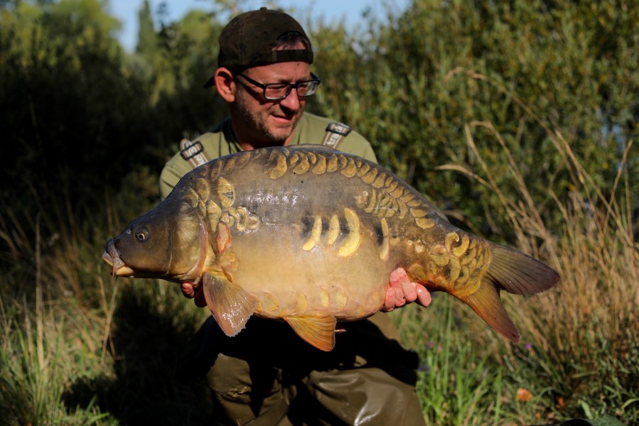 British Badger, 27lb 12oz, Alcatraz, 31/08/19