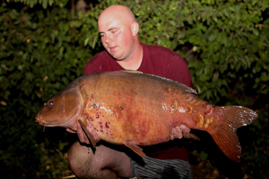 Gaz Henderson, 45lb 12oz, Bob's Beach, 31.8.19