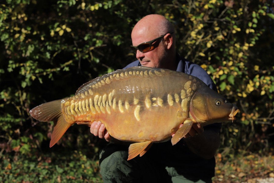 Steve French, Drop Scale Linear