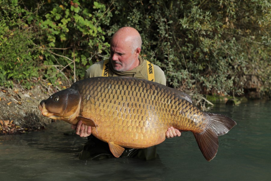 Steve French with The Immaculate Common at 87lb 8oz from Bob's Beach 05.10.2019